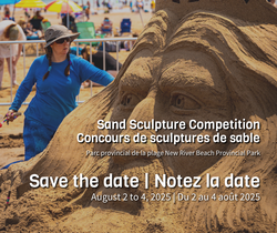 Sand Sculpture Competition